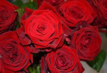 Kradzież dla kobiety