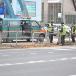 Cyrk z zebrą (video)