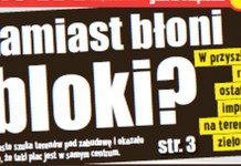 Zamiast błoni bloki?