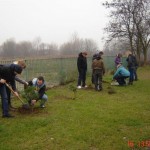 Sadzili drzewa na Ustroniu IV