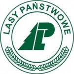 Zięba: Nie dzierżawimy lasów referencyjnych