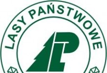 Zięba: Nie dzierżawimy lasów referencyjnych