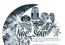 Pierwsza lubińska Noc Sów