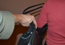 Torebkowy złodziejaszek