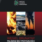Węgiel brunatny paliwem bez przyszłości.