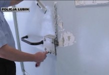 Złodziej o szerokiej specjalizacji