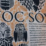 Sowa – tajemnice i ciekawostki – Noc Sów w Lubinie – FOTO