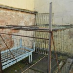 Odłowili bo niszczyła kapustę