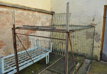 Odłowili bo niszczyła kapustę