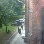 “Święte krowy” pod kościołem?