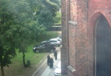 “Święte krowy” pod kościołem?