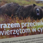 Będzie apel do prezydenta Lubina w sprawie cyrków