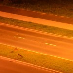 Upolowane w obiektywie