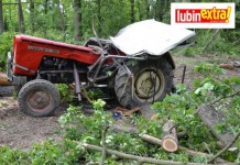 Tragedia przy wyrębie