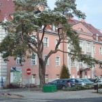 Podatek “katastrofalny”