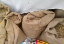 Bo nie miał dla zwierząt…