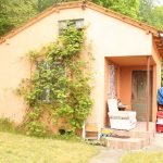 Pies zamknięty w karygodnych warunkach