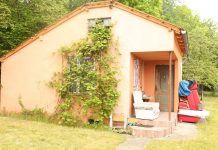 Pies zamknięty w karygodnych warunkach