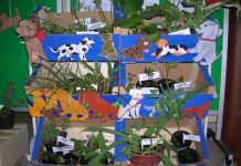 Pomoc dla pieska bez łap