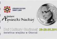 Dwudniowe Święto Kultury w Gminie Lubin