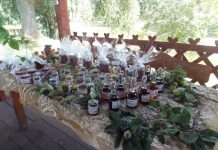 Gogołowice pachnące pigwą i różą – FOTO