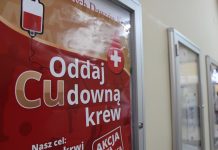 Cudowna krew od Lubina