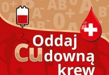 HDK, wolontariusze i Zagłębie Lubin chcą krwi