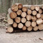 Pijany z kradzionym drewnem