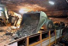 Dostali wilcze bilety