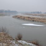 Płynie kra po rzece