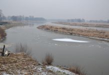 Płynie kra po rzece