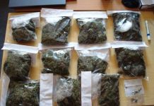 Z trawką w majtkach