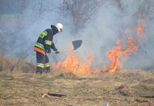 Siano w głowie, trawa płonie