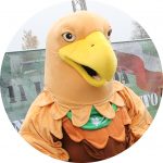 Pan Bielik na aukcji WOŚP