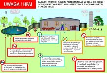 Ponad 100 przypadków ptasiej grypy