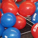 Kolejna akcja MCZ w terenie