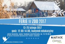 Ferie w lubińskim ZOO – program