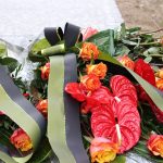 Po 60 latach od odkrycia miedzi region kwitnie – FOTO