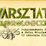 Nauczą rozpoznawać drzewa w Parku Wrocławskim