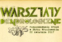 Nauczą rozpoznawać drzewa w Parku Wrocławskim