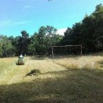 Mobilizacja czy przypadek?