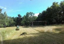 Mobilizacja czy przypadek?