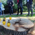 Przeżyły Napoleona i wojny. Zabili je lubińscy urzędnicy – FOTO