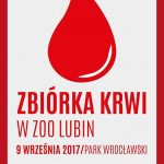 Aktywna sobota w Parku Wrocławskim – Zaproszenie
