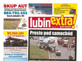 thumbnail of LubinExtra 152