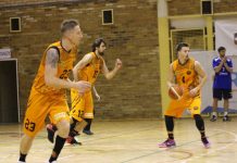 SMK Lubin vs. KS Pleszew 72:103 – FOTO