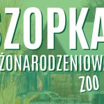 Szopka bożonarodzeniowa ze zwierzętami – zapowiedź