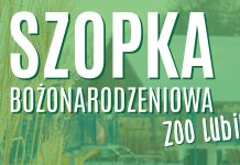 Szopka bożonarodzeniowa ze zwierzętami – zapowiedź