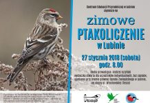 Zimowe ptakoliczenie w Zoo Lubin – zapowiedź