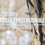 Niedzielny spacer z przewodnikiem